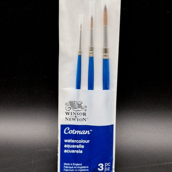 Juego de pinceles de nylon redondo Winsor & Newton x3